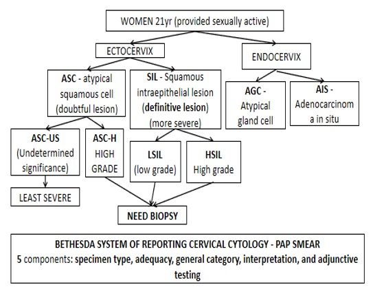 FMGE 2023 Obstetrics and Gynecolog
